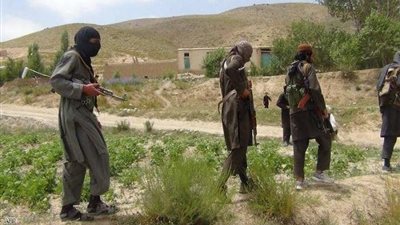 روسيا والهند: من المحتمل بقوة تحول أفغانستان إلى مركز لصناعة الأفيون