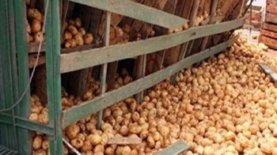 اختناق مروري بنفق العبور إثر انقلاب حمولة بطاطس