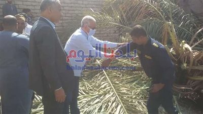 بالصور| لا إصابات في حريق نشب في 15 نخلة ببني سويف