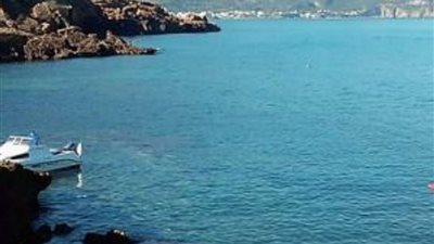 كيف تهاجم القروش البشر؟