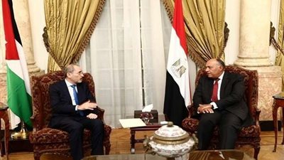 سامح شكري يستقبل نظيره الأردني قبيل انعقاد الاجتماع الطارئ للجامعة العربية