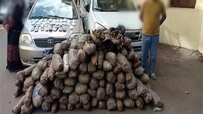 نيابة الدقهلية تحقق في ضبط 3 متهمين بحوزتهم نصف طن من مخدر البانجو