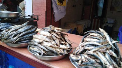 بعد إصابة 80 شخصا بالإسكندرية..  كيف تحمي نفسك من تسمم الفسيخ؟