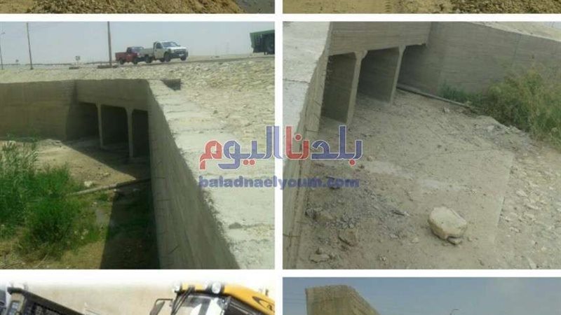 بلدنا اليوم