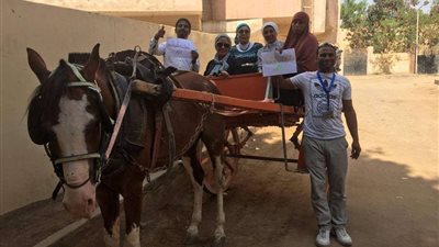 لليوم الثاني.. الجيزة تواصل فعاليات حملة طرق الأبواب