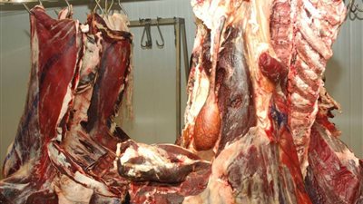 ضبط 18.5 طن لحوم و2 طن كبدة فاسدة بمحافظة القاهرة