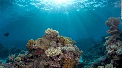 اكتشاف كبير.. العثور على حطام سفينة في موقع مثلث برمودا