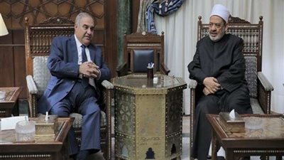 شيخ الأزهر يلتقي رئيس المحكمة الدستورية