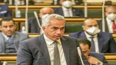 النائب عمرو السنباطي يطالب بنبذ التعصب الكروي.. ويؤكد: يعمق الكراهية والعنف المجتمعي