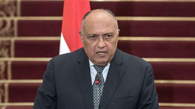 وزير الخارجية يُجري اتصالًا هاتفيًا بنظيره الإسرائيلي