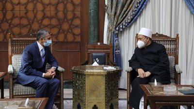 الإمام الأكبر: الأزهر والفاتيكان تلاقيا من أجل الأخوة الإنسانية والسلام العالمي