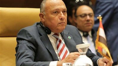 سامح شكري يُجري اتصالاً هاتفيًا بوزير خارجية إسرائيل