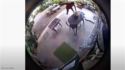 شاهد.. أفعى كبرى تهاجم رجل في منزله «فيديو»