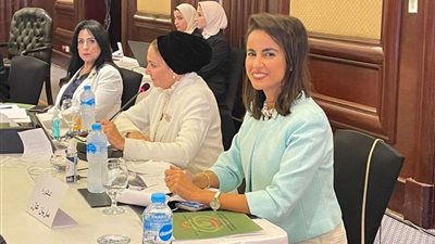 ماريان عازر: مصر كانت من أول الدول التى تصدت للحروب السيبرانية