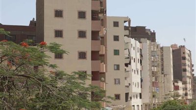 محافظ الجيزة: الانتهاء من طلاء 1600 عقار بالطريق الدائري كمرحلة أولى