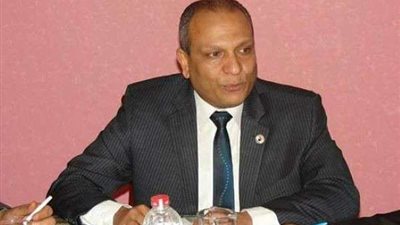 لحل مشاكل القرية.. تأسيس مجلس حكماء لكل عائلة في مشتهر بالقليوبية