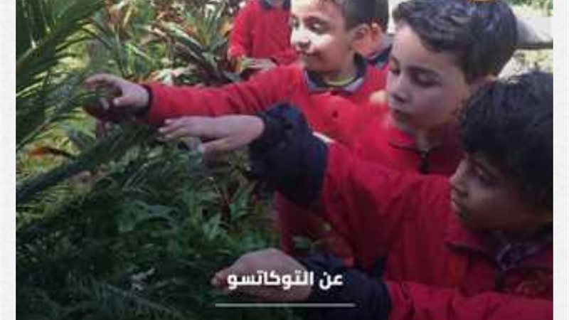 بلدنا اليوم