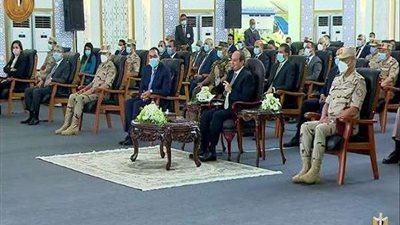 الرئيس السيسى: 