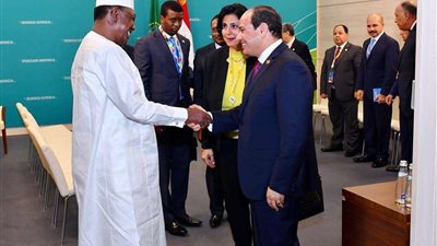 السيسي يناقش مع رئيس التشاد سبل مكافحة الإرهاب