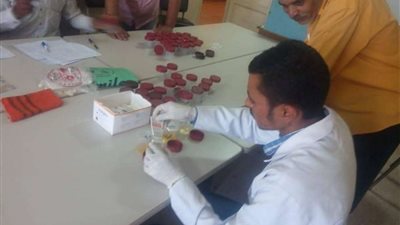 استمرار تكثيف حملات الكشف المبكر عن متعاطي المخدرات بين سائقي الحافلات المدرسية