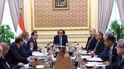 رئيس الوزراء يتابع شكاوى المواطنين من عدادات الكهرباء والغاز (صور)