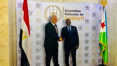 السفير المصري يلتقي رئيس البرلمان الجيبوتي