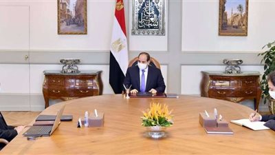 السيسي يوجه جهود الدولة لميكنة منظومة المحاكم واجراءات التقاضي للتسهيل على المواطنين