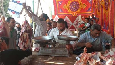 ضبط 3 أطنان لحوم مجمدة فاسدة بمنطقتي السلام والمقطم