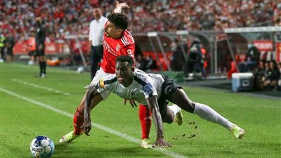 بنفيكا يخسر من  بورتيمونينس في الدوري البرتغالي