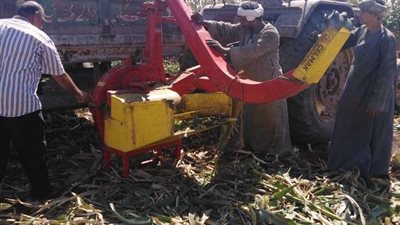 تحرير 221 محضًرا وغرامة فورية لحرق المخلفات الزراعية بأسيوط