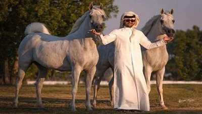 أحمد عبدالله: مصر مؤهلة لتنظيم سباقات القدرة والتحمل للخيل