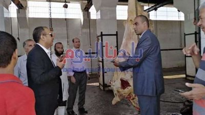 إعدام رأسي ماشية غير صالحة للاستهلاك قبل تداولها بالأسواق بمركز أبوقرقاص بالمنيا