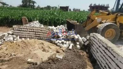 إزالة 6 حالات تعدي على الأراضي الزراعية بملوي بالمنيا