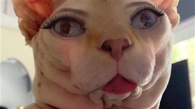 شاهد.. ياسمين عبد العزيز تثير الذعر على السوشيال ميديا بهذه الصورة