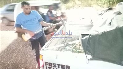 إزالة 386 إشغال طريق في دمنهور.. تفاصيل