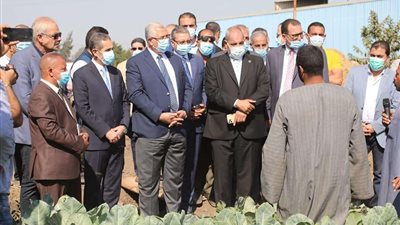 وزير الزراعة ومحافظ الغربية يتفقدان حقل خضر بالري الحديث