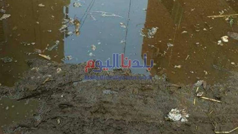 بلدنا اليوم