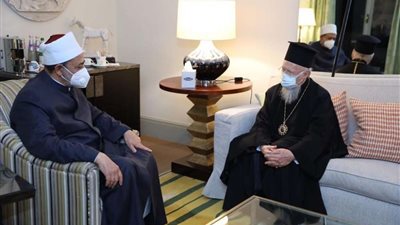 الطيب: الأزهر انفتح على المؤسسات الدينية حول العالم