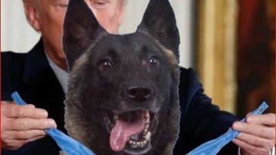 ترامب: وسائل الإعلام تعامل الكلب 