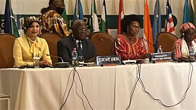 نائبة تنسيقية الشباب رشا أبو شقرة تفوز بمنصب هام باتحاد البرلمانات الإفريقية