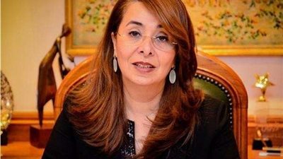 والي تستعرض مع نائب رئيس البنك الدولي أوليات مصر في التنمية البشرية