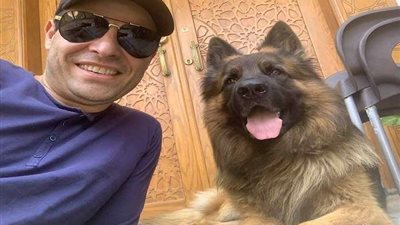 عبدالله رشدي: تربية الكلاب تنقص الأجر.. والتهامي يرد 