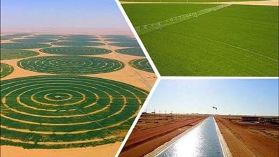 مستشار وزير الزراعة يكشف تفاصيل توسيع الرقعة الزراعية