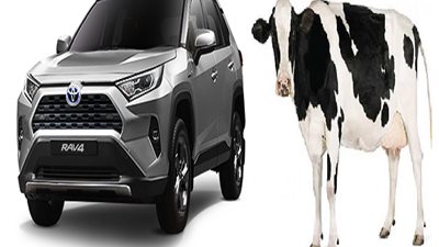 بديل البنزين.. كيف تتدخل 