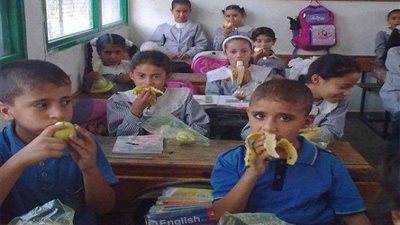 التربية والتعليم تكشف عن موعد بدء توريد 