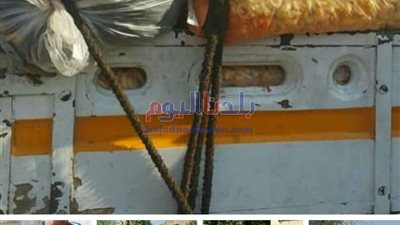 بينهم محضر أمن دولة طوارئ.. صحة بني سويف تجابه الباعة الجائلين بمحيط المدارس