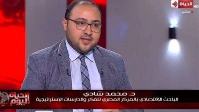 باحث اقتصادي: برنامج الإصلاح الاقتصادي حقق نجاحات باهرة
