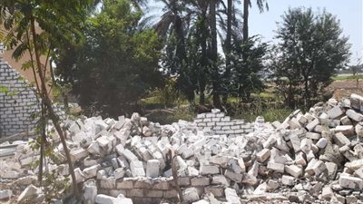 إزالات فورية للتعدي على الأراضي الزراعية بمساحة 3730م2 بنطاق المنوفية