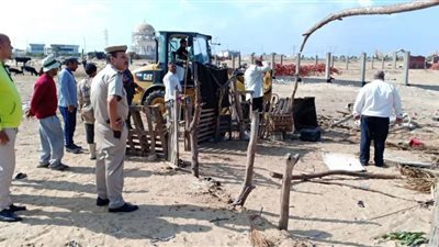 إزالة ٥٠ عشة للعرب الرحل في حملة للقضاء على ظاهرة الأبقار الضالة بجمصة