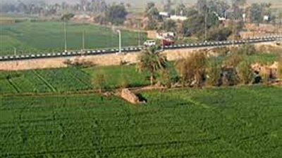 عباس الشناوي يكشف نسبة حالات التعدي على الأراضي الزراعية